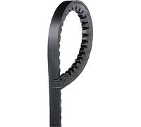 Gates Correa trapezoidal nervada 6284MC