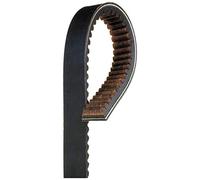 Gates 69 g2919 G-Force C-12 CVT cinturón