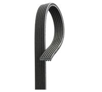 Gates 6DPK1195 Correa Poly-V Para Seat Alhambra VW Bora Ford Galaxy Skoda Audi