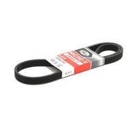 GATES 6DPK1195 Correa trapecial poli V para VW Golf IV Hatchback (1J1) 1195mm