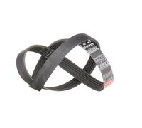 GATES 6PK1010 Correa trapecial poli V