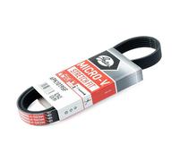 Correa poly V GATES 6PK1019SF