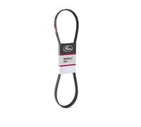 GATES 6PK1353 Correa trapecial poli V negro