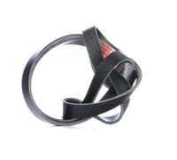 GATES 6PK1550XS Correa trapecial poli V para VW Transporter T5 Furgoneta 1550mm