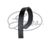 Gates 6PK2083 Correa Trapezoidal para VW Ford Mazda Jeep Cadillac Ee.uu. Dodge