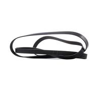 GATES 6PK2453 Correa trapecial poli V Correa Poly V Correa poli V Correa de accesorios