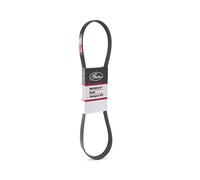 GATES 6PK893XS Correa trapecial poli V negro