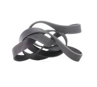 GATES Correa trapezoidal nervada para RENAULT: Scénic, Espace, Mégane & HONDA: CR-V, FR-V, Accord (Ref: 7PK1785)