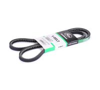 GATES AVX13x1425HD Correa trapezoidal