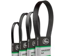 Correa poly V de embrague GATES GATCB0009