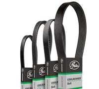 GATES CB0064 Correa trapezoidal negro