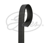 GATES Correa De Distribución Compatible Para VW Transporter IV Bus 2.8 VR6