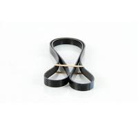 Correa trapezoidal acanalada 6PK1700 GATES para VW SEAT CITROËN PEUGEOT BMW FORD