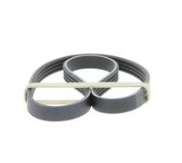 GATES Correa trapezoidal nervada para FIAT: Palio, Panda, Punto, Seicento, Siena, Doblo, Stilo, Idea, Marea, Strada, Cinquecento, Bravo (Ref: 4PK675)