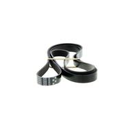 GATES Correa trapezoidal nervada para FORD: Orion, Scorpio, Fiesta, Escort, Courier & AUDI: 100, Coupé, A8, Cabriolet, 80, A6 (Ref: 6PK1903)