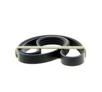 Correa poly V GATES 4PK750