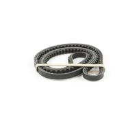 GATES Correa trapezoidal nervada para LAND ROVER: Range Rover & RENAULT: Trafic, R12, R15 & DACIA: 1307, 1300, 1310, 1410, 1210 (Ref: 6229MC)