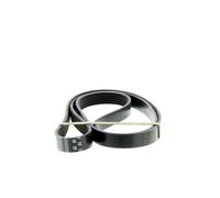 GATES Correa trapezoidal nervada para LEXUS: RX, NX & PEUGEOT: Bipper, Boxer & MITSUBISHI: L200 & TOYOTA: Corolla (Ref: 6PK1670)