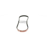 Correa trapezoidal acanalada 3PK800 GATES para NISSAN TOYOTA