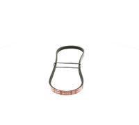 Correa trapezoidal acanalada 3PK800 GATES para NISSAN TOYOTA