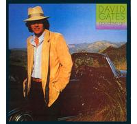 Gates,David - Goodbye Girl