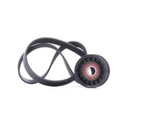 GATES K016PK1019SF Juego de correas trapeciales poli V