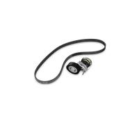 GATES K076PK1203 Juego de correas trapeciales poli V