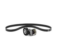 GATES K296PK1708 Juego de correas trapeciales poli V