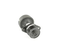 GATES OAP7045 Rueda libre de alternador Compatible con FORD Focus Mk1 Hatchback DAW, DBW Focus Mk1 Familiar DNW Focus Mk1 Sedán DFW, DNW Focus Mk1 Furgoneta/Familiar DNW
