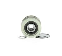 GATES Rueda libre alternador para RENAULT: Clio, Kangoo, Mégane, Scénic, Fluence, Modus, Symbol - Thalia, Thalia & NISSAN: Micra (Ref: OAP7108)
