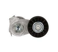 Distribución y Accesorios > Poleas y Rodillos > Polea tensora, correa auxiliar servicios