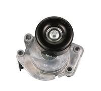 Distribución y Accesorios > Poleas y Rodillos > Polea tensora, correa auxiliar servicios