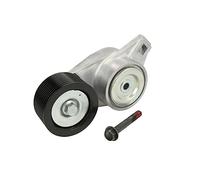 Tensor de correa, correa poli V FleetRunner GATES T38581