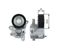 Polea tensora, correa trapezoidal DriveAlign GATES T39193