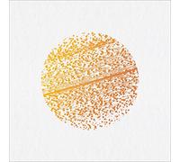 Gathering, the - Beautiful Distortion [Vinilo]