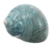 GATHINESS Adorno con temática marina con caracolas naturales del Mediterráneo, decoración de pecera con conchas grandes, ideal para proyectos DIY y ambientación en acuarios y hogares