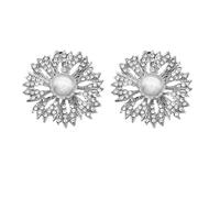 GATHINESS Hebillas de Zapatos DIY para Mujer, Adornos de Perlas y Cristales, Accesorios Desmontables para Decoración de Calzado en Bodas y Uso Diario, 1 Par de Clips Elegantes