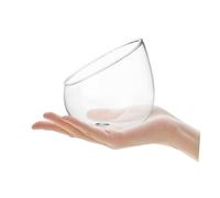 GATHINESS Jarrón de Vidrio Corte Inclinado para Terrario de Mesa, Botella Ecológica Transparente de Borosilicato para Micropaisaje, Decoración de Interior y Oficina, Maceta de Cristal