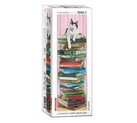Gato académico