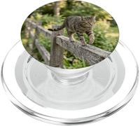 Gato atigrado Caminando Cerca de Madera Escena al Aire Libre PopSockets PopGrip para MagSafe