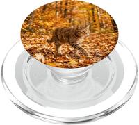 Gato atigrado Caminando otoño Bosque Hojas Escena PopSockets PopGrip para MagSafe