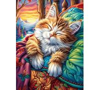 Gato atigrado durmiendo en una manta de punto Puzzle 1000 Piezas Cartón Grueso Para Toda La Familia Sueño Mágico de Ciencia Ficción Desarrollo Lógica Agilidad Mental Actividad Hacer En Grupo Idea De R