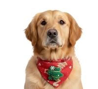 Gato Bandana Festive Kitten Bufanda, Accesorio de vacaciones | Disfraz de espectáculo de fiesta de sesión Foto de reunión familiar para gatos, animales de compañía pequeños y medianos de temporada