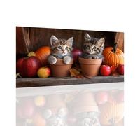 Gato Diamond Painting Adultos Redonda Diamantes Grande 100X200CM, Diamond Painting Kit Completo Víspera de Todos los Santos,Pintar con Numeros Adultos Manualidades,Decoracion Hogar,Regalo Mujer,Y994Z