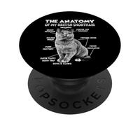 Gato dueño de la Gata Gata British Shorthair PopSockets PopGrip Adhesivo