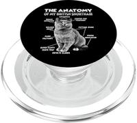 Gato dueño de la Gata Gata British Shorthair PopSockets PopGrip para MagSafe
