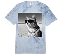 Gato En El Salar De Uyuni En Bolivia Comfort Colors Adult Heavyweight T-Shirt