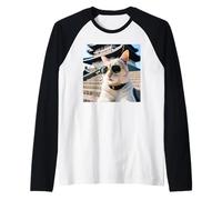 Gato En Japón En El Castillo Himeji Camiseta Manga Raglan