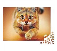 Gato Lindo 1000 Piezas Puzzle Adultos Gato Atigrado en Pose Dinámica Desafiante Premium Grueso Robusto Vibrante Alivio Estrés Regalo Decoración Familiar 38x26cm/1000pz