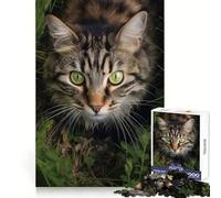 Gato paseando en la Hierba Rompecabezas de 1000 Piezas para Adolescentes Agilidad Mental Relajante Tiempo Libre Únete Sorpresa de cumpleaños (38x26cm)